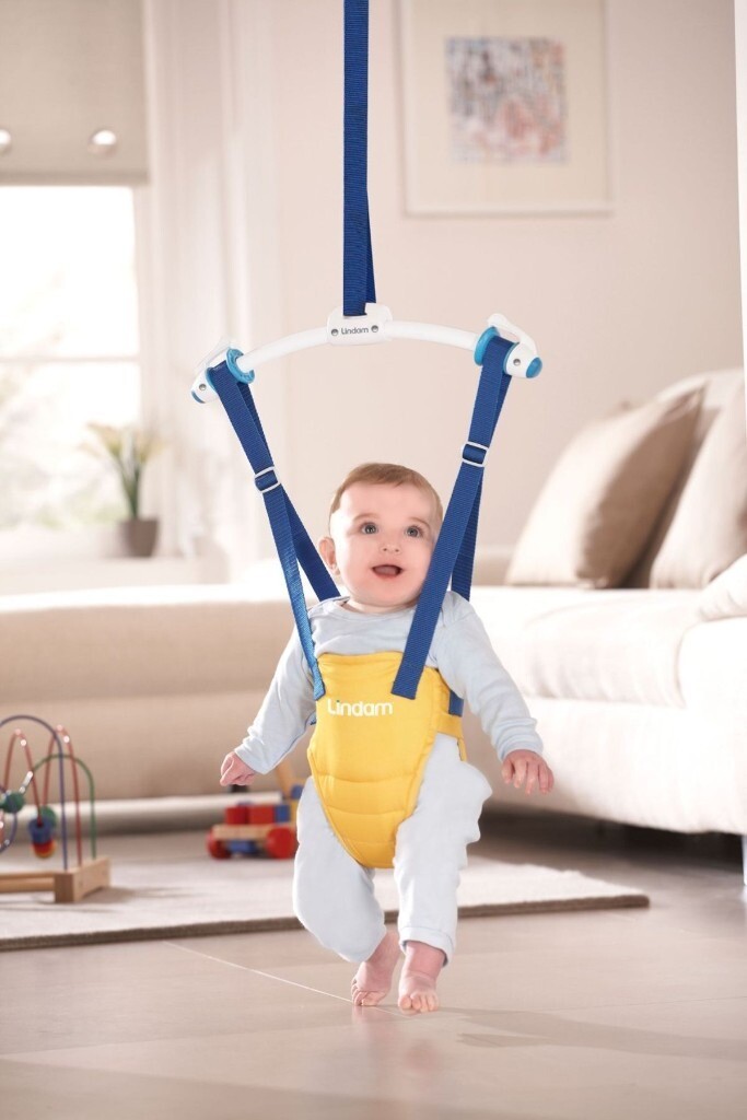 lindam baby swing